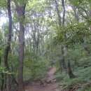 구름산산림욕장 이미지