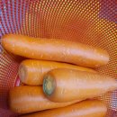 오늘반찬부식 이미지