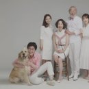 오즈스튜디오 이미지