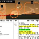 다윗의 자손으로 오신 예수님 - 독일계 후손 적그리스도 트럼프 이미지