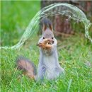 한글초급 이미지