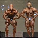 올림피아 이미지