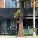 지지밍고 이미지