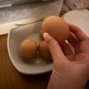 진주사 | 팔뚝 지방분해주사 비용 내돈내산 4회차 변화 후기