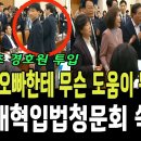 검찰개혁 입법청문회 쑥대밭 이미지