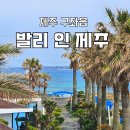 발리인제주 민박 | 제주 야외 자쿠지 독채펜션ㅣ구좌읍 오션뷰 &amp; 성산일출봉뷰 감성숙소 &#39;발리인제주&#39; 후기