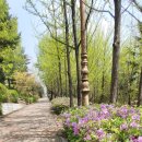 희망로509번길 이미지