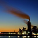 대성목재 이미지