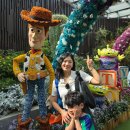 스카이베이더파크 | 241219~30 싱가포르•방콕 여행 넷째날_가든스바이더베이/디아웃포스트센토사