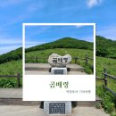 야생화테마펜션 | [역장투어 여행후기] 숨은 천상의 화원 곰배령, 1박2일 힐링기차여행 🍃 (25.07.19-20)