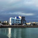 산타루치아 펜션 | [제주] 월정리 숙소 내돈내산 솔직후기 '스테이산타루치아'