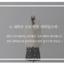 동성세탁 이미지