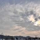 수시코스 | 연천 가을 로맨스 여행지! 임진강 댑싸리공원 데이트 산책 코스 솔직 후기