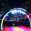 빛의 숲 이미지