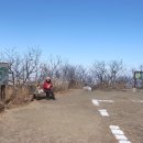 대성초교 이미지