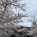 허균,허난설헌기념관 | 강릉 여행 경포대 벚꽃 명소 허균 허난설헌 기념관 아이랑 가볼 만한 곳 추천