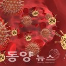 포시즌 유황사우나 이미지