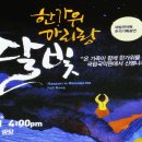 아리랑기획 - 서구 중반3길 45 | 아리랑기획