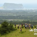 구좌공설묘지 이미지