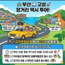 공룡투어 | 김해공항택시 부산에서 고성까지! 감천문화마을 찍고 공룡박물관 투어 후기