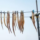 청룡초등학교장고분교장 이미지