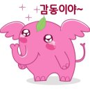 대경깔끔세탁 이미지