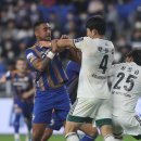 레오나르도 이미지