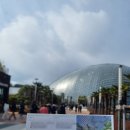 거제새둥지펜션 | [거제여행 1박2일]2일차 코스 추천 실내 데이트 W181카페/거제식물원/가조도 주변 노포맛집 평화횟집