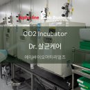(주)에이바이오머티리얼즈