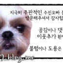 치킨마루(청학점)