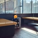 할리스(동해묵호점) | 아기와 겨울 동해 여행 제니스 키즈카페, 할리스 동해 묵호점, 망상해수욕장