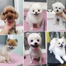 꽃개미용실 이미지