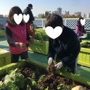 기후변화체험관 | 부평굴포누리 기후변화체험관 방문 후기