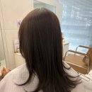 쌍용자동차 광명 옥길 서비스 프라자 | 부천 옥길동 미용실 박승철 헤어스투디오, 머릿결 관리를 위한 전문 클리닉을 받을 수 있는 곳