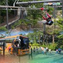 천안종합터미널 관광안내소 | 2026 천안 시티투어