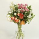 어니스트(honest) 이미지