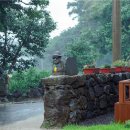 아라민박 이미지