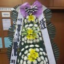 대운플라워주