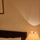 Monterey17 Hotel | [일본 오사카] 오사카역 가성비 숙소 추천 호텔 몬토레 오사카 (Hotel Monterey Osaka)