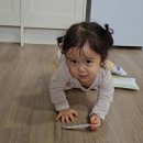 싱글벙글약국 네이버블로그