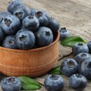 블루베리펜션 이미지