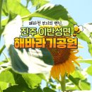 이반성면사무소 이미지