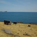 무의목장 이미지