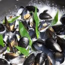 남원로 442번길 이미지