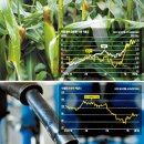 [펀드]농산물펀드 올 수익률 15.1%… 곡물값 강세 이어질 듯 이미지