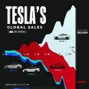 차트: 모델 및 연도별 Tesla의 글로벌 판매량(2016~2023) 이미지