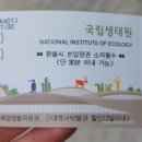 [내돈내산] 충남 서천 당일치기 뚜벅이 기차여행: 장항역 기사식당, 서천 국립생태원, 장항 스카이 워크...