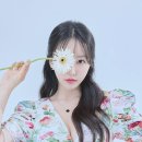 보떼로즈