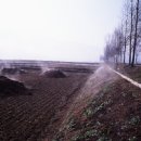 대덕가축 이미지