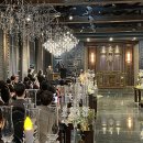 터틀하우스 이미지